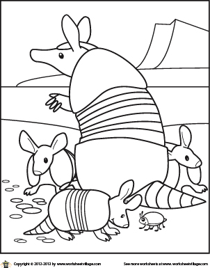 armadillos-coloring-page