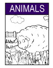 Tag-Animals-coloring-fwp