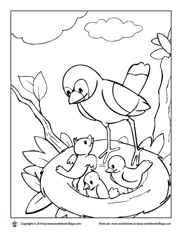 Birds in a Nest Coloring Page Worksheet Village