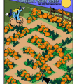 Pumpkin patch maze