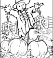 scarecrow in pumpkin patch