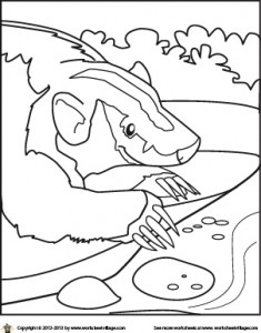 badger-coloring-page